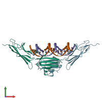 PDB entry 4oi8 coloured by chain, front view.