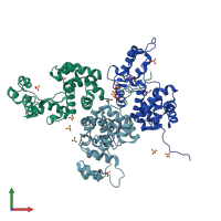 PDB entry 4ok7 coloured by chain, front view.