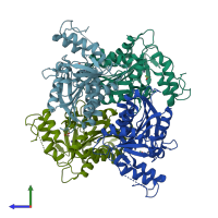 PDB entry 4oko coloured by chain, side view.