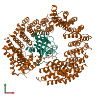 PDB entry 4ol0 coloured by chain, front view.