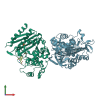 PDB entry 4old coloured by chain, front view.