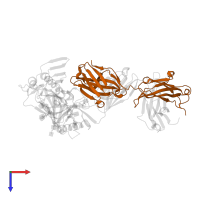 Antigen binding fragment of heavy chain: Antibody VRC01 in PDB entry 4olu, assembly 1, top view.