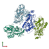 PDB entry 4omb coloured by chain, front view.