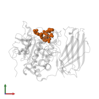 phenylacetyl-Arg-Val-Arg-(amidomethyl)benzamidine in PDB entry 4omd, assembly 1, front view.