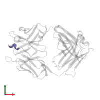 Amyloid-beta protein 40 in PDB entry 4onf, assembly 1, front view.