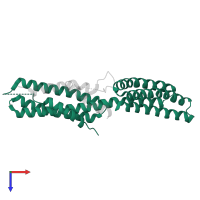 Catenin alpha-2 in PDB entry 4ons, assembly 1, top view.
