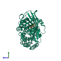 PDB entry 4opl coloured by chain, side view.