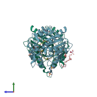 PDB entry 4opm coloured by chain, side view.