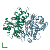 PDB entry 4oql coloured by chain, front view.