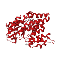 The deposited structure of PDB entry 4oqn contains 2 copies of CATH domain 3.40.50.300 (Rossmann fold) in Thymidine kinase. Showing 1 copy in chain B.