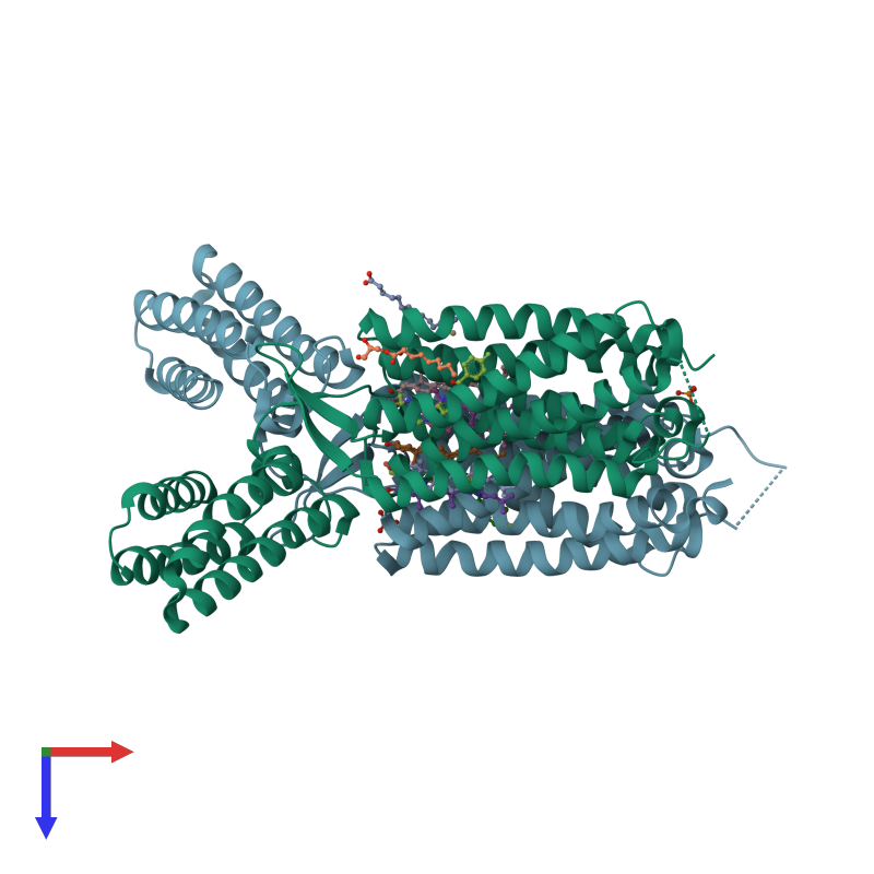 http://www.ebi.ac.uk/pdbe/static/entry/4or2_deposited_chain_top_image-800x800.png