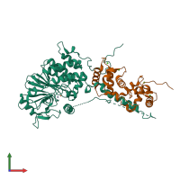 PDB entry 4or9 coloured by chain, front view.