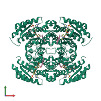 Homo tetrameric assembly 1 of PDB entry 4oso coloured by chemically distinct molecules, front view.