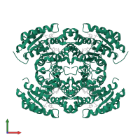 Reductase homolog in PDB entry 4oso, assembly 1, front view.