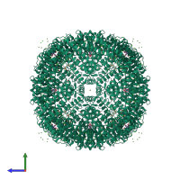 Homo 24-meric assembly 1 of PDB entry 4oyn coloured by chemically distinct molecules, side view.