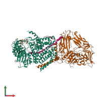 PDB entry 4p02 coloured by chain, front view.