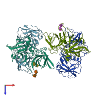 PDB entry 4p1v coloured by chain, top view.