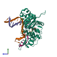 PDB entry 4p2h coloured by chain, side view.