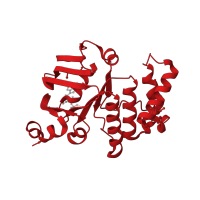 The deposited structure of PDB entry 4p31 contains 2 copies of CATH domain 3.40.50.300 (Rossmann fold) in Lipopolysaccharide export system ATP-binding protein LptB. Showing 1 copy in chain A.