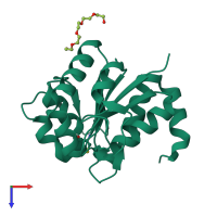 PDB entry 4p34 coloured by chain, top view.