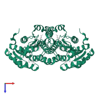 11-beta-hydroxysteroid dehydrogenase 1 in PDB entry 4p38, assembly 1, top view.