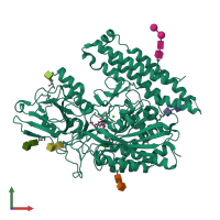 PDB entry 4p4b coloured by chain, front view.
