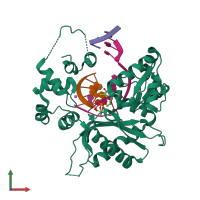 PDB entry 4p4o coloured by chain, front view.