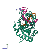 PDB entry 4p4p coloured by chain, side view.