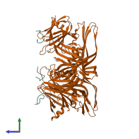 Hetero hexameric assembly 5 of PDB entry 4p5h coloured by chemically distinct molecules, side view.