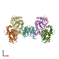 PDB entry 4p6i coloured by chain, front view.