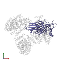 AP-1 complex subunit mu-1 in PDB entry 4p6z, assembly 1, front view.