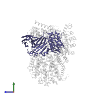 AP-1 complex subunit mu-1 in PDB entry 4p6z, assembly 1, side view.