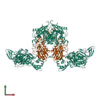 Hetero tetrameric assembly 1 of PDB entry 4p71 coloured by chemically distinct molecules, front view.