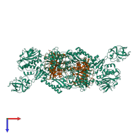 Hetero tetrameric assembly 1 of PDB entry 4p71 coloured by chemically distinct molecules, top view.