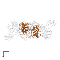 Phenylalanine--tRNA ligase alpha subunit in PDB entry 4p71, assembly 1, top view.