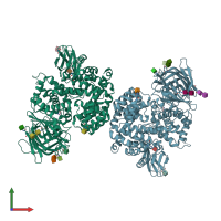 PDB entry 4p8q coloured by chain, front view.