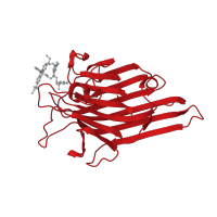 The deposited structure of PDB entry 4p9x contains 4 copies of CATH domain 2.60.120.200 (Jelly Rolls) in Concanavalin-A, 2nd part. Showing 1 copy in chain A.
