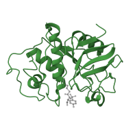 The deposited structure of PDB entry 4pad contains 1 copy of SCOP domain 54002 (Papain-like) in Papain. Showing 1 copy in chain A.