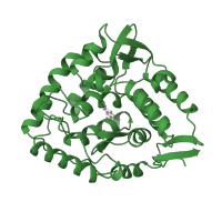 The deposited structure of PDB entry 4pah contains 1 copy of SCOP domain 56535 (Aromatic aminoacid monoxygenases, catalytic and oligomerization domains) in Phenylalanine-4-hydroxylase. Showing 1 copy in chain A.