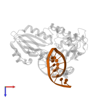 DNA (5'-D(*CP*TP*CP*TP*TP*TP*(3DR)P*TP*TP*TP*CP*TP*CP*G)-3') in PDB entry 4pcz, assembly 1, top view.