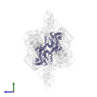 Cytochrome b in PDB entry 4pd4, assembly 1, side view.