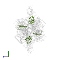 Cytochrome b-c1 complex subunit Rieske, mitochondrial in PDB entry 4pd4, assembly 1, side view.