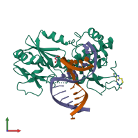 PDB entry 4pdg coloured by chain, front view.