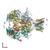 PDB entry 4pe5 coloured by chain, front view.