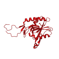 The deposited structure of PDB entry 4pfq contains 8 copies of CATH domain 3.40.50.2020 (Rossmann fold) in Hypoxanthine phosphoribosyltransferase. Showing 1 copy in chain C.