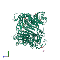 Homo dimeric assembly 1 of PDB entry 4pg8 coloured by chemically distinct molecules, side view.