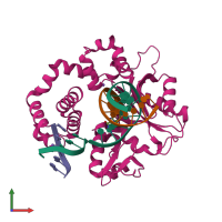 PDB entry 4php coloured by chain, front view.