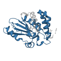The deposited structure of PDB entry 4pie contains 1 copy of Pfam domain PF00770 (Adenovirus endoprotease) in Protease. Showing 1 copy in chain A.