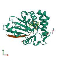 PDB entry 4pie coloured by chain, front view.