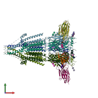 PDB 4pir coloured by chain and viewed from the front.